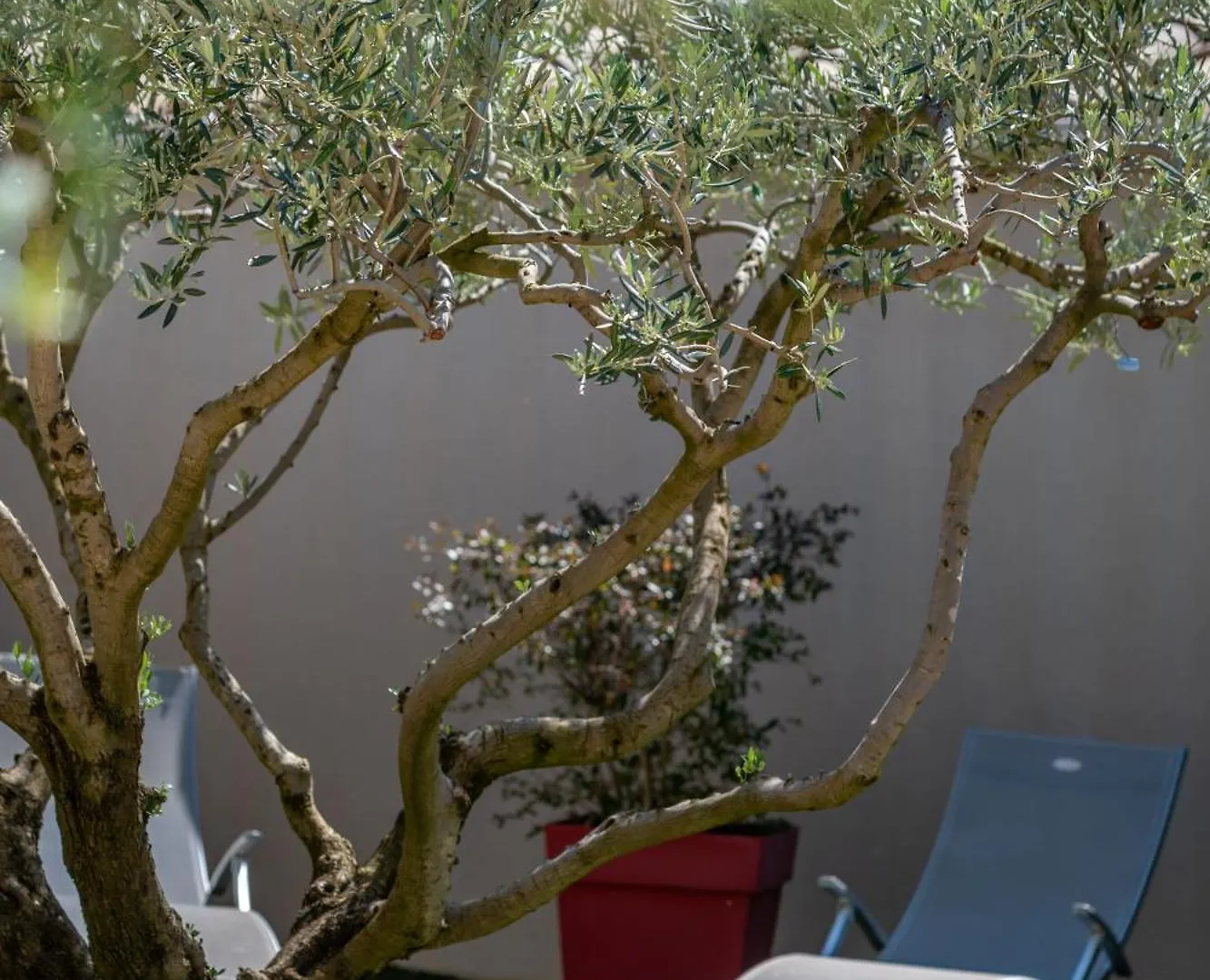 Hébergement de vacances Belle Maison Jardin Piscine Pres Avignon Villeneuve-lès-Avignon